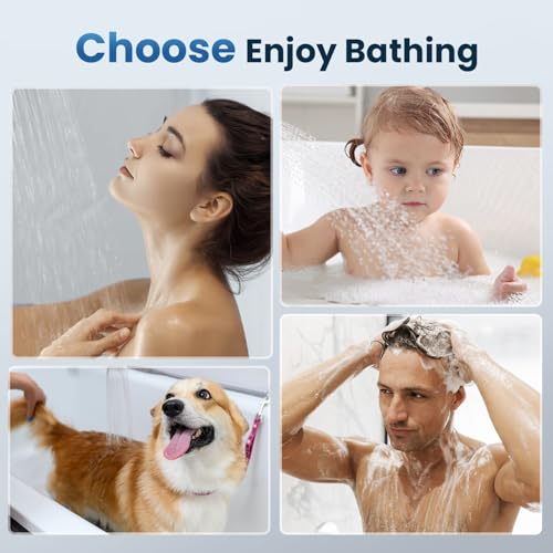 Filtered Shower Head with Handheld JOMST