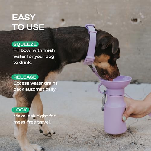 Springland 15oz Classic Portable Dog Water Bottle with Built (15 Fl Oz)