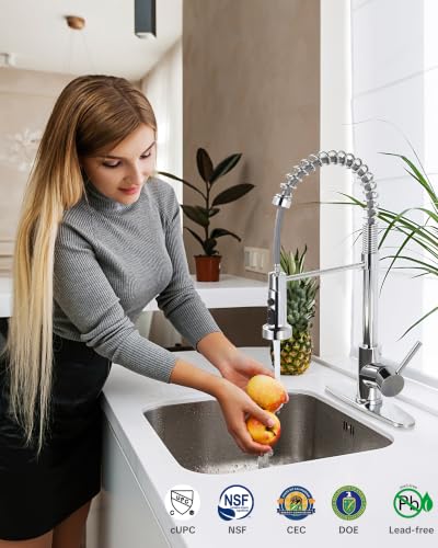 Kitchen Faucet with Pull Down Sprayer