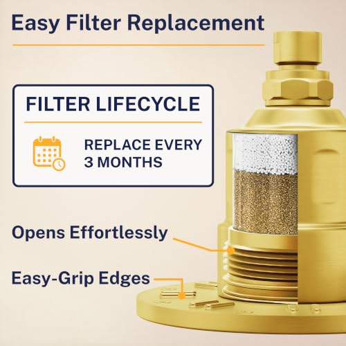 Gillian Filtered Shower Head for Hard Water