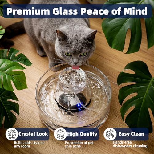 Glass Cat Water Fountain 88oz