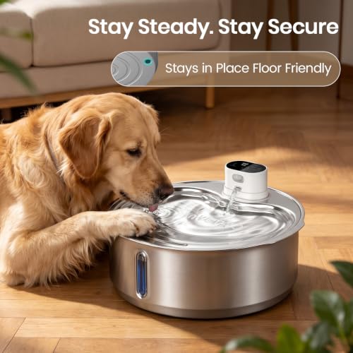 8L 270oz Cordless Stainless Steel Dog Water Fountain