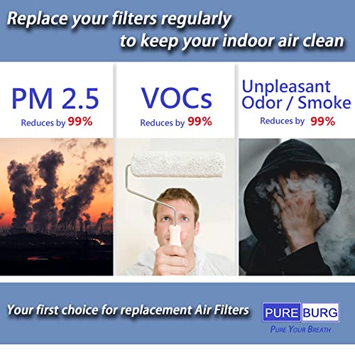 Replacement Foam Filter Compatible with Homerunpet Pet Blow Dryer PD10