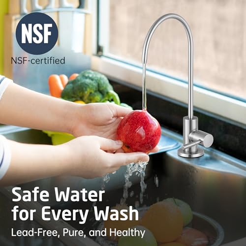 Drinking Water Faucet