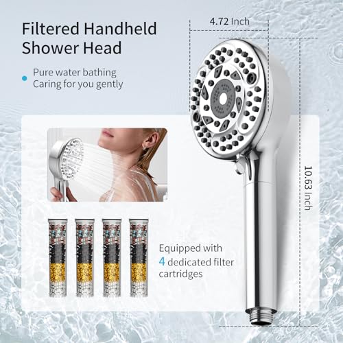 Filtered Shower Head with Handheld