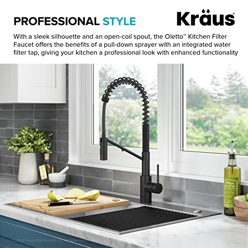 Oletto 2-in-1 Commercial Style Pull-Down Single Handle Water Filter Kitchen Faucet for Reverse Osmosis or Water Filtration System in Matte Black, KFF-2631MB