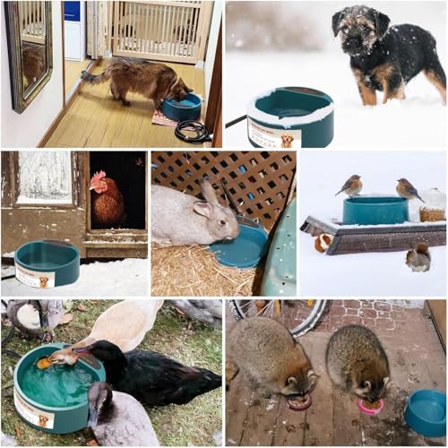 Heated Water Bowl for Outdoor Cats