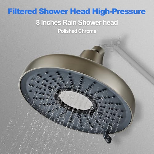 Filtered Shower Head