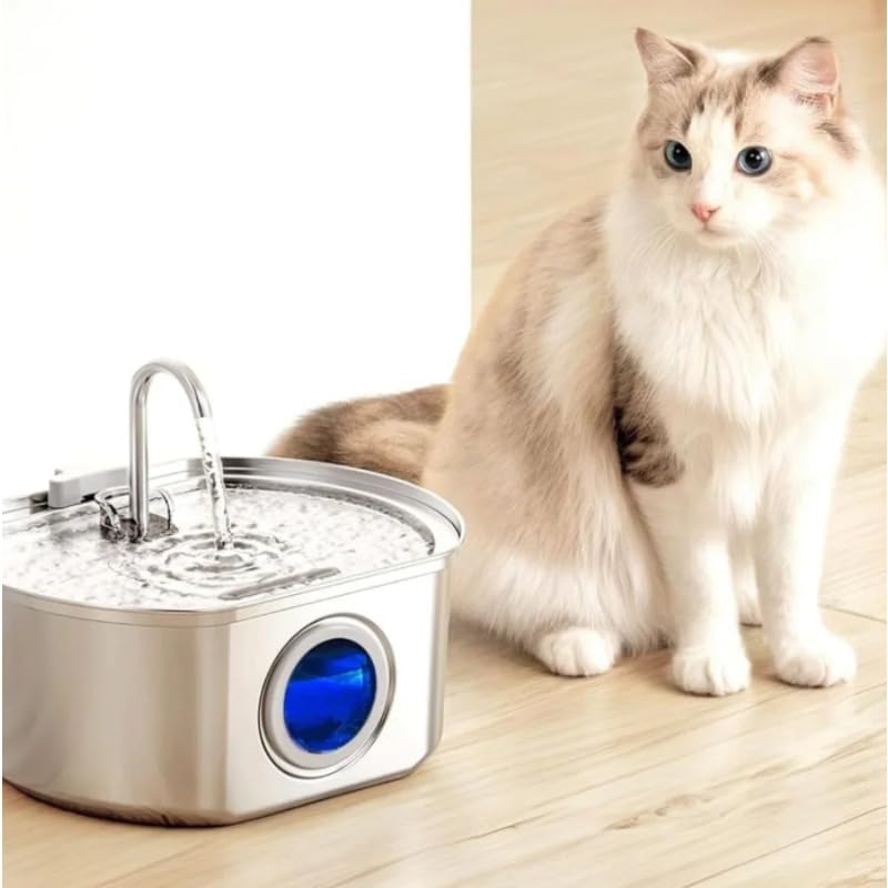 Selene The Doggy Fountain
