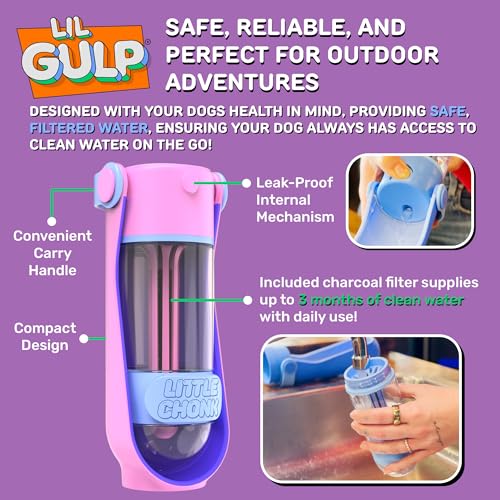 Lil Gulp Dog Water Bottle 15 Fl oz Portable Travel Bottle