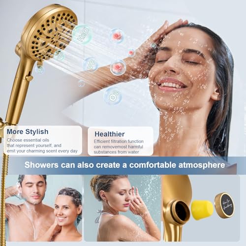 Filtered Shower Head with Handheld