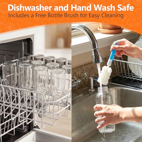 Glass Water Bottles with Lids 16 oz