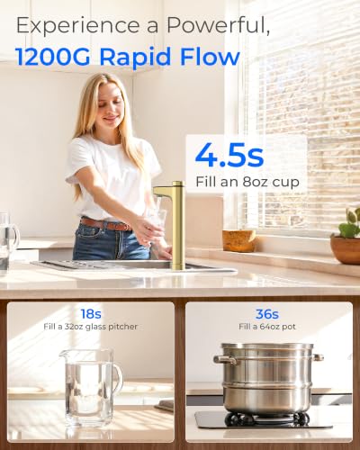 X12 WAJ Alkaline Mineral Reverse Osmosis Water Filter