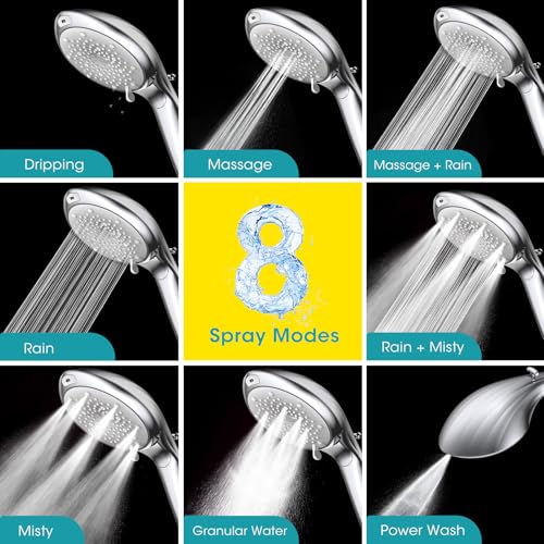 Filtered Shower Head with Handheld