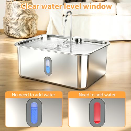 Dog Water Fountion for Large Dogs (50 Pound)