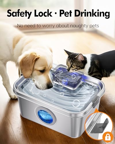Dog Water Fountain 2 Gal
