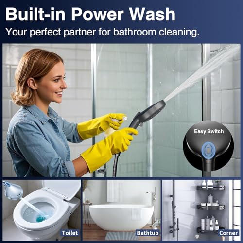 Filtered Shower Head with Handheld
