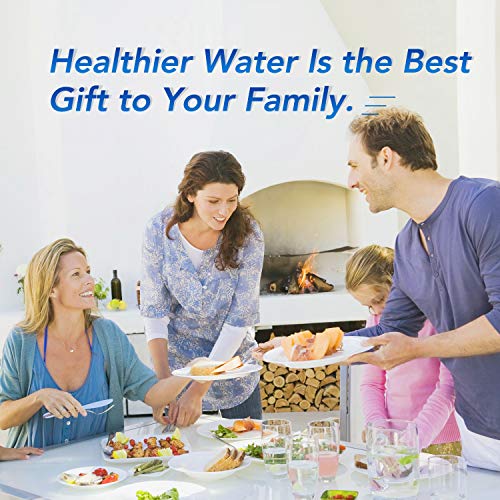 RWF5800A Refrigerator Water Filter Replacement for Frigidaire EPTWFU01 (3 Count)