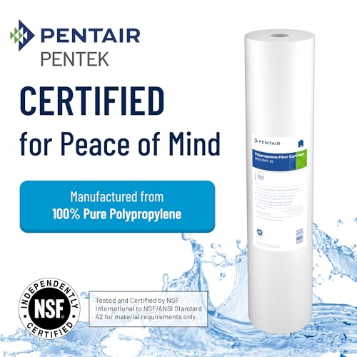 Pentair Pentek DGD