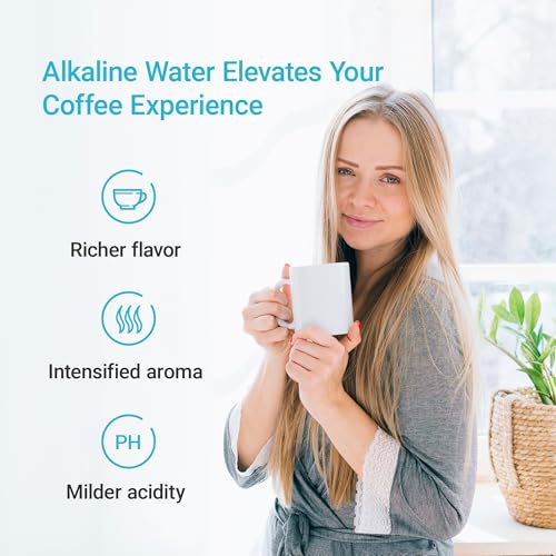 PF AL Alkaline Water Filter Replacement for Waterdrop® Pitchers (2 Count)