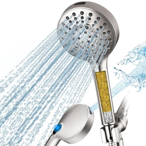 Filtered Shower Head with Handheld