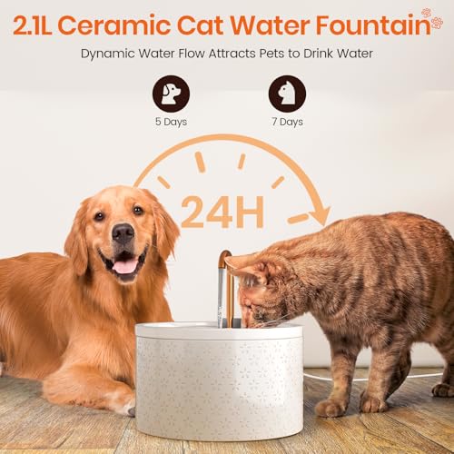 Ceramic Cat Water Fountain