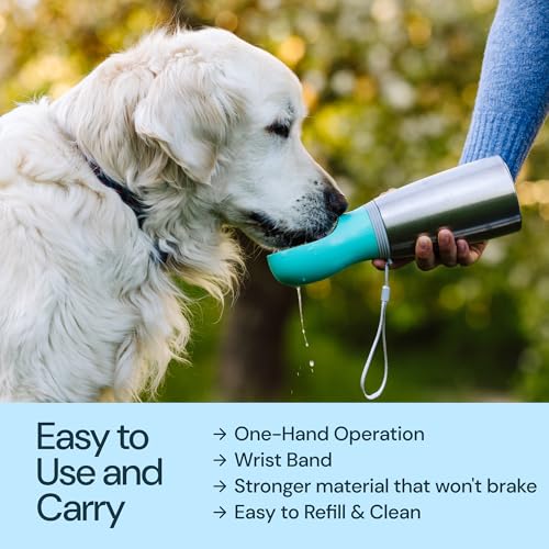 Insulated Dog Water Bottle