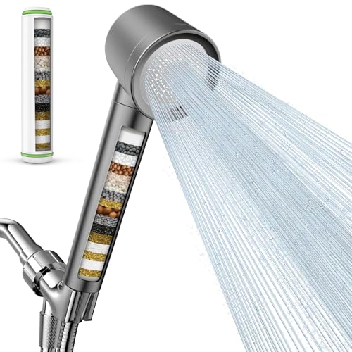 Filtered Shower Head with Handheld