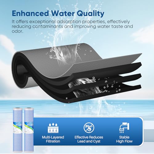 20" x 4.5" Whole House Activated Carbon Water Filter (2 Count)
