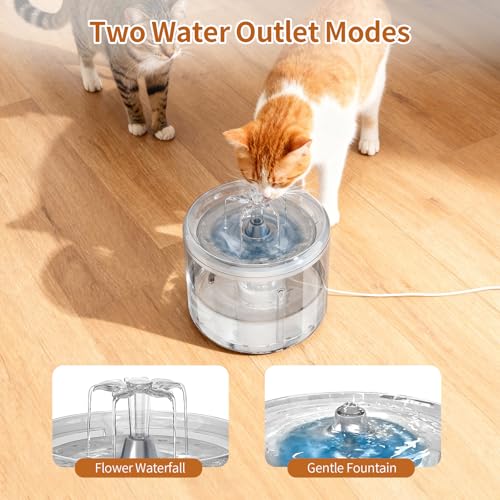 Cat Fountain 2.6l (87 Fl Oz)