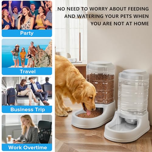 9.5L Dog Feeder and Water Bowl Set for Dog