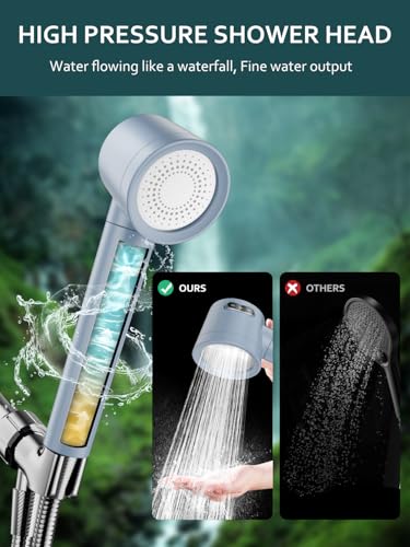 Filtered Shower Head with Handheld