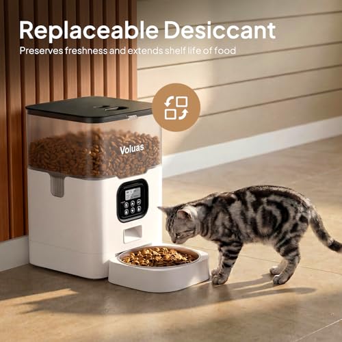 Automatic Cat Feeder