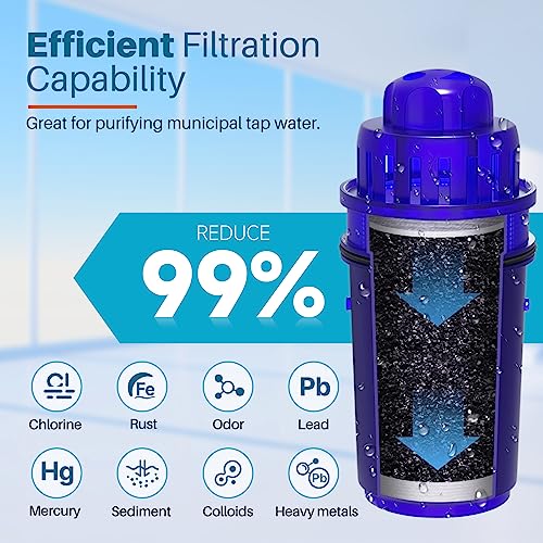 Pitcher Water Filter (4 Count)