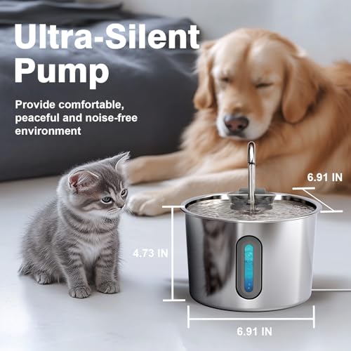 Cat Water Fountain