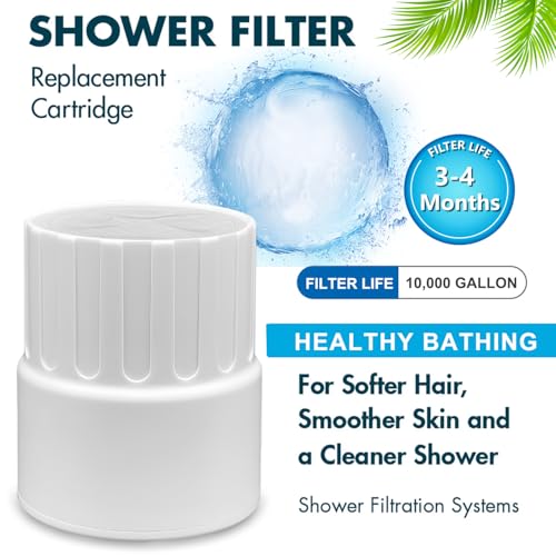 Shower Filter Compatible with JOLIE Wall
