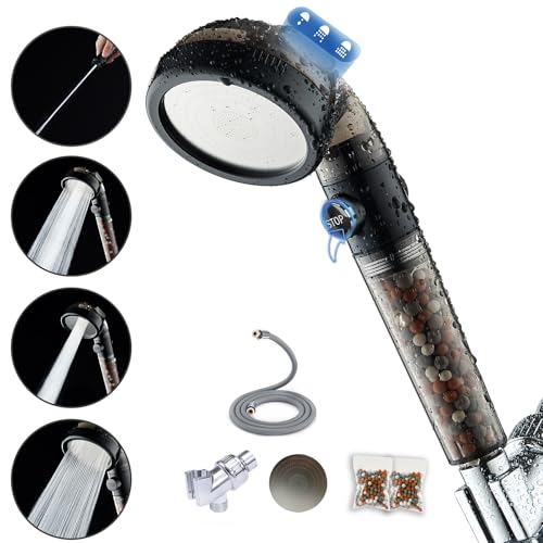 Filtered Shower Head with Handheld