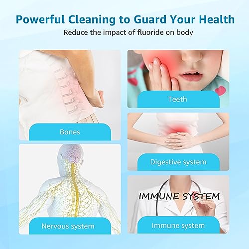 Fluoride Water Filter (2 Count)