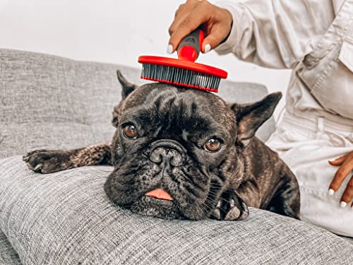 Round Bristle Soft Brush for Dogs and Cats