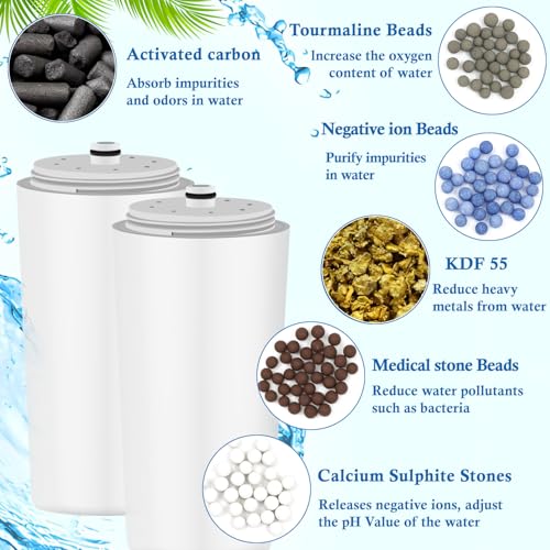 Water Replacement Filter for Shower Head (2 Count)