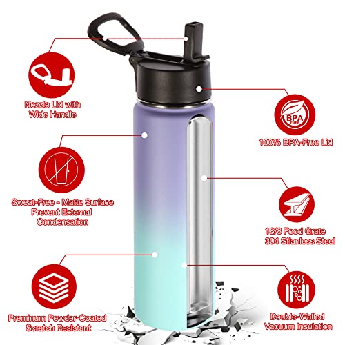 Insulated Water Bottles with Straw Bulk 2 Pack (2 Count)