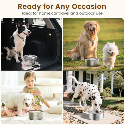 Dog Water Bowl No Spill