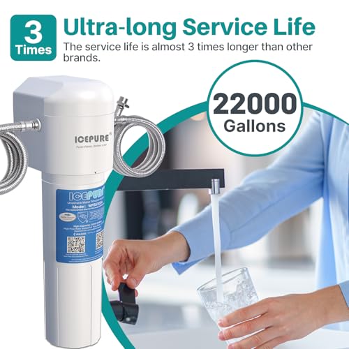Under Sink Water Filter System