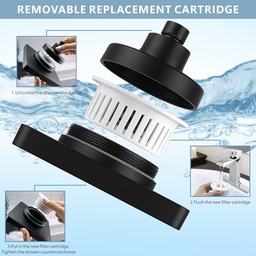 Filtered Shower Head with Handheld Combo