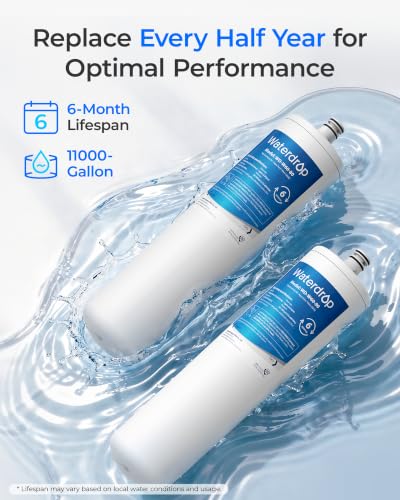 DW80 90 Water Filter Replacement for Aqua (2 Count)
