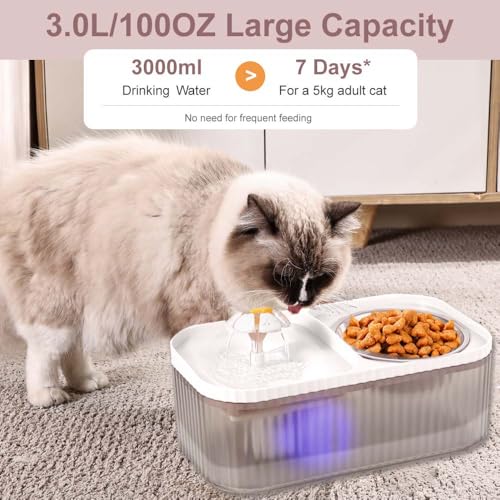 Cat Water Fountain and Stainless Steel Food Bowl