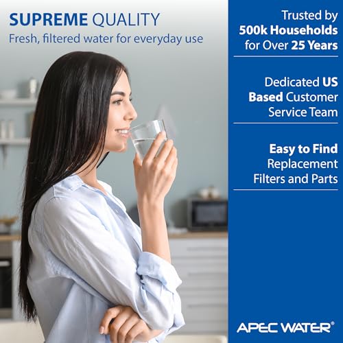 FI-CS-2500 Replacement Filter, for CS-2500 System