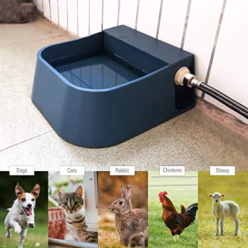 Dog Automatic Water Bowl for 3