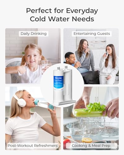 WD F29 Water Filter Replacement for Frigidaire® WF2CB® (2 Count)