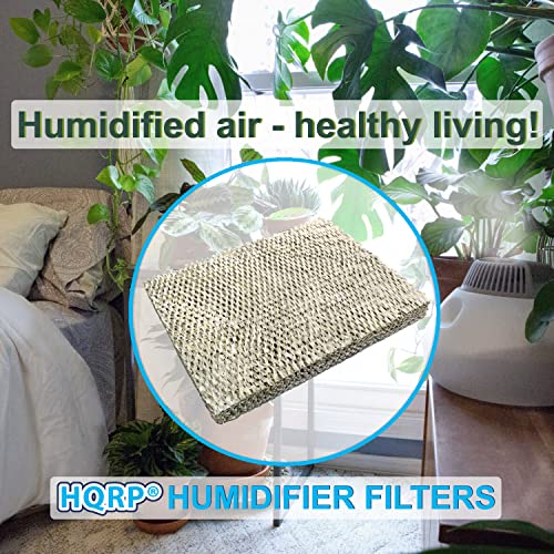 Water Filter Compatible with Trane